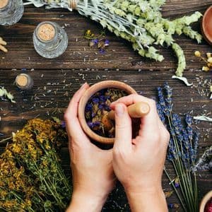 Mani che macinano fiori secchi in un mortaio di legno, su un tavolo circondato da erbe e piante botaniche.