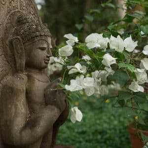 Una statua di pietra consumata dal tempo di una divinità è mostrata di profilo, accanto a un cespuglio fiorito con fiori bianchi in un giardino verde.