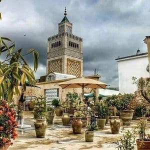 Une terrasse sur le toit remplie de nombreuses plantes en pot offre une vue sur un minaret traditionnel en pierre sous un ciel nuageux.