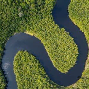 An aerial view of a dark river winding in an S-shape through a dense, bright green forest canopy.