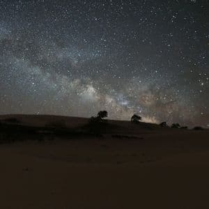 La Via Lattea si estende nel cielo notturno stellato sopra dune di sabbia in silhouette e alberi sparsi.