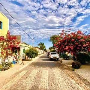Una strada acciottolata e assolata è fiancheggiata da edifici colorati e alberi con fiori rossi, sotto un cielo parzialmente nuvoloso. Accanto è parcheggiato un pick-up bianco.