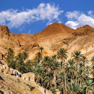 Un viaggio di gruppo WeRoad a piedi attraverso una lussureggiante oasi di palme incastonata in un canyon nel deserto sotto un cielo blu.