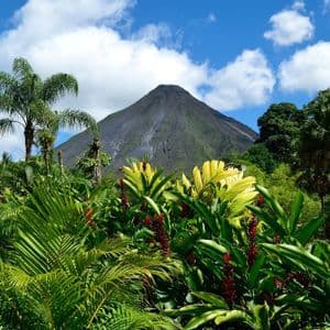 A large volcano stands behind a dense tropical jungle with palm trees and red flowers under a blue, cloudy sky.
