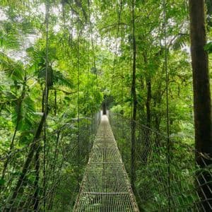 Un largo puente colgante de metal con laterales de malla de alambre se extiende hacia un exuberante dosel de la selva verde.