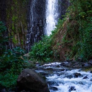 Un'alta cascata scende da una scura scogliera rocciosa in un ruscello impetuoso sottostante, circondata da una fitta vegetazione verde.