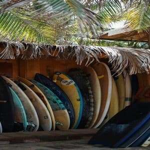 Una fila di tavole da surf colorate, riposte in una rastrelliera di legno, sotto un tetto di paglia e foglie di palma.