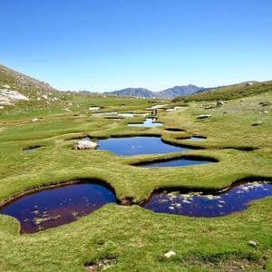 De petites étendues d'eau serpentent à travers une prairie verdoyante luxuriante dans une vallée montagneuse sous un ciel bleu clair.