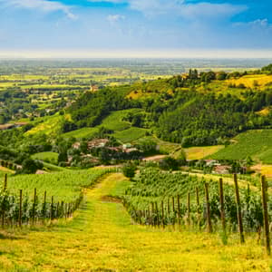 Una vista da un vigneto in collina che domina dolci colline verdi, borghi e una pianura distante sotto un cielo azzurro.