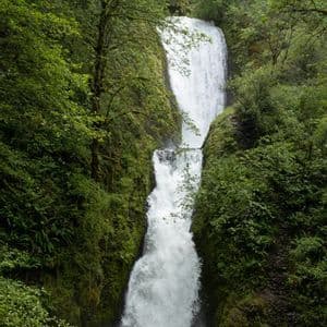 Una cascata a due livelli si riversa in una gola rocciosa, circondata da una lussureggiante foresta verde.