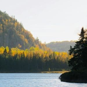Una vista sul lago di una montagna ricoperta di pini e alberi con foglie autunnali gialle, illuminata da una brillante luce solare.