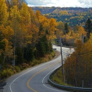 Una strada asfaltata tortuosa si snoda attraverso una fitta foresta con un vibrante fogliame autunnale giallo e oro sotto un cielo parzialmente nuvoloso.