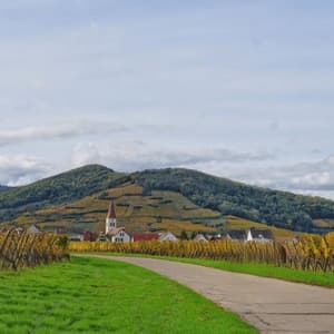 Un camino pavimentado serpentea a través de viñedos otoñales hacia un pequeño pueblo enclavado al pie de una gran colina en terrazas.