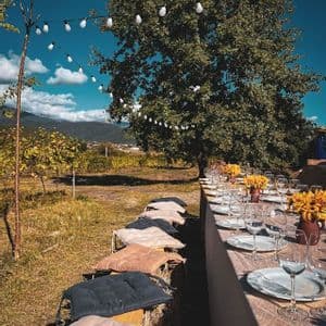 A long outdoor table set for a meal in a vineyard, with hay bales for seating and string lights hanging from a tree.