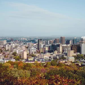 Un vasto panorama cittadino con numerosi grattacieli, visto da un punto elevato sopra una foresta di alberi dal fogliame autunnale colorato.