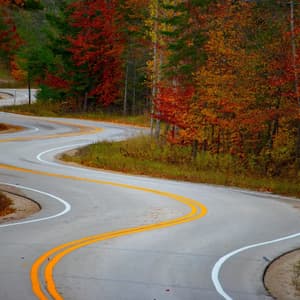 Una strada sinuosa a forma di S con doppia linea gialla attraversa una fitta foresta con vivaci foglie autunnali rosse e arancioni.