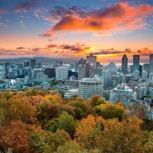 Una vista elevata dello skyline di una città con grattacieli, incorniciata da un colorato fogliame autunnale sotto un vivace cielo al tramonto.