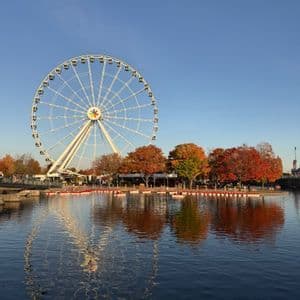 Una grande ruota panoramica bianca e alberi con fogliame autunnale si riflettono nell'acqua sottostante, su uno sfondo di cielo azzurro limpido.