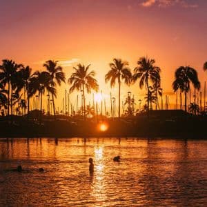 Sagome di persone che nuotano in acqua durante un vibrante tramonto arancione, con palme e alberi delle barche sullo sfondo.