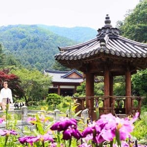 Due donne si trovano su un piccolo ponte di pietra in un giardino tradizionale asiatico con una pagoda di legno, fiori viola e montagne boscose.