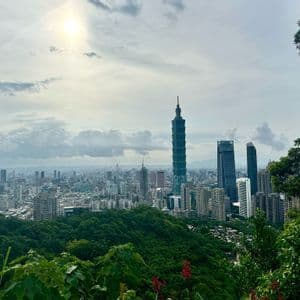 Eine Stadt-Skyline mit einem markanten hohen Wolkenkratzer, von oben über einem dichten grünen Wald unter einem hellen, bewölkten Himmel betrachtet.