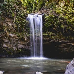 A waterfall with a long exposure effect cascades over a mossy rock face into a calm pool of water in a lush green jungle.