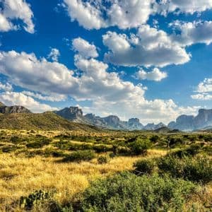 Un vasto paesaggio di erba gialla e arbusti verdi che conduce a una lontana catena montuosa sotto un cielo azzurro brillante con soffici nuvole bianche.