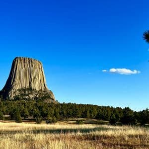 Una grande formazione rocciosa colonnare si erge sopra una fitta foresta verde e un campo di erba secca sotto un cielo azzurro limpido.