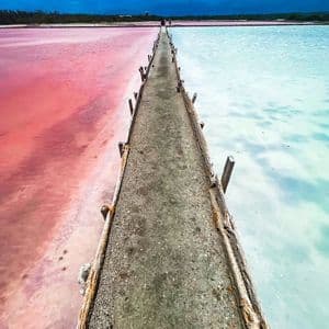A long concrete pier divides a body of water, with vibrant pink water on one side and pale turquoise water on the other, under a blue sky.