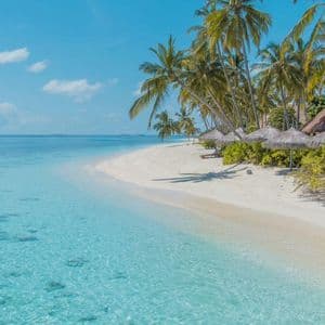 A white sand beach lined with palm trees, with clear turquoise water lapping the shore under a blue sky.