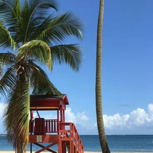 A red lifeguard tower stands on a sandy beach between two palm trees, with the ocean in the background under a blue sky.