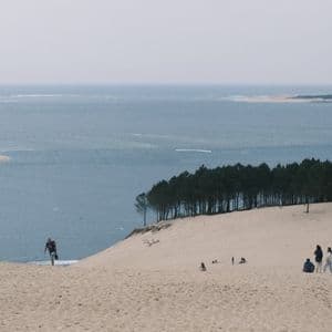 A WeRoad group trip on a large sand dune overlooking a pine forest and the sea on an overcast day.