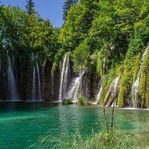 Diverse cascate scendono da una scogliera verde muschiosa in un lago turchese e cristallino, circondato da una fitta foresta sotto un cielo azzurro.