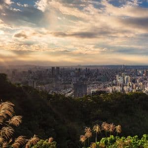 Eine weitläufige Stadtlandschaft mit einem hohen Wolkenkratzer, von einem üppig grünen Hügel bei Sonnenuntergang aus gesehen, mit goldenem Licht, das durch Wolken filtert.