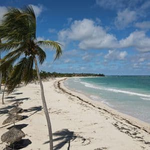 An aerial view of a white sand beach lined with palm trees and thatched umbrellas next to a turquoise ocean under a partly cloudy sky.