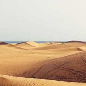 Ondeggianti dune di sabbia dorata con impronte visibili conducono all'oceano blu in lontananza, sotto un cielo limpido e velato.