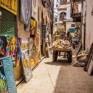 Un estrecho callejón funciona como mercado de arte al aire libre, con coloridas pinturas de animales adornando las paredes y una persona de pie con una carretilla.