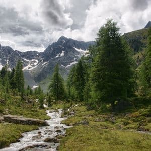Ein felsiger Bach schlängelt sich durch ein grünes Tal mit Kiefern, unter schneebedeckten Bergen und einem bewölkten Himmel.