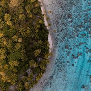 Veduta aerea dall'alto della costa di un'isola tropicale, che separa una fitta foresta di palme dal chiaro oceano turchese.