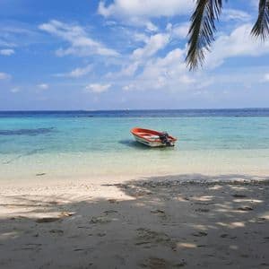 Una barca a motore arancione galleggia in acque turchesi cristalline vicino a una spiaggia di sabbia, vista da sotto una palma in una giornata di sole.