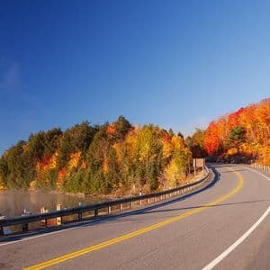 Un camino serpenteante bordea un lago brumoso y un bosque colorido con follaje otoñal bajo un cielo azul brillante.
