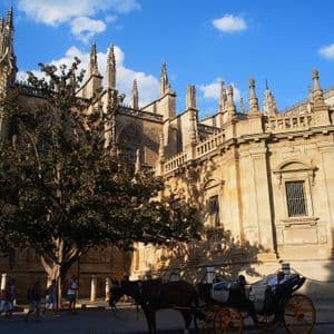 Una carrozza trainata da cavalli è parcheggiata su una strada acciottolata di fronte a una grande e sontuosa cattedrale gotica sotto un cielo azzurro e soleggiato.
