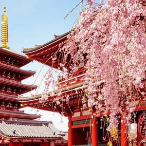Una pagoda e un tempio giapponesi rossi incorniciati da ciliegi rosa in fiore sotto un cielo azzurro e limpido, di giorno.