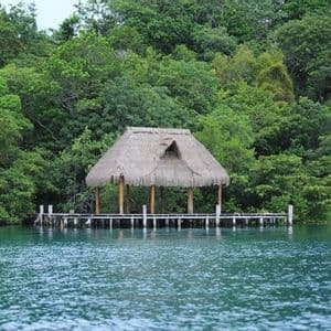 Un molo in legno con una capanna dal tetto di paglia si estende su acque calme di fronte a una foresta lussureggiante e fitta.
