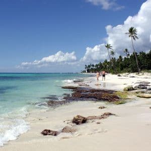 Two people walk on a tropical beach with white sand and turquoise water, lined with tall palm trees.