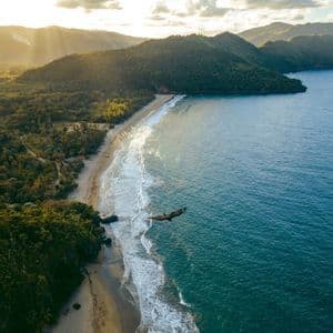 An aerial view of a large bird flying over the turquoise ocean along a sandy beach, with lush, tree-covered hills in the background.