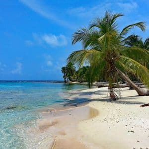 A palm tree leans over a white sand beach next to clear turquoise water under a bright blue sky.