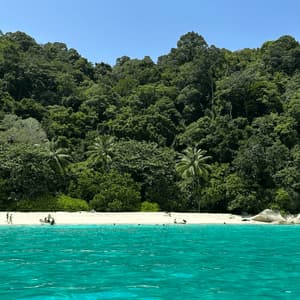 Una spiaggia di sabbia bianca con acque turchesi vibranti si trova alla base di una collina coperta da una lussureggiante giungla tropicale.
