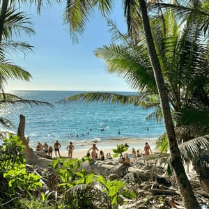Un viaggio di gruppo WeRoad su una spiaggia tropicale, visto da dietro le palme, con persone che si rilassano sulla sabbia e nuotano nell'oceano.