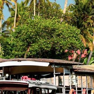 Una casa galleggiante in legno è ormeggiata a riva, con palme lussureggianti e fogliame tropicale sotto un cielo azzurro.